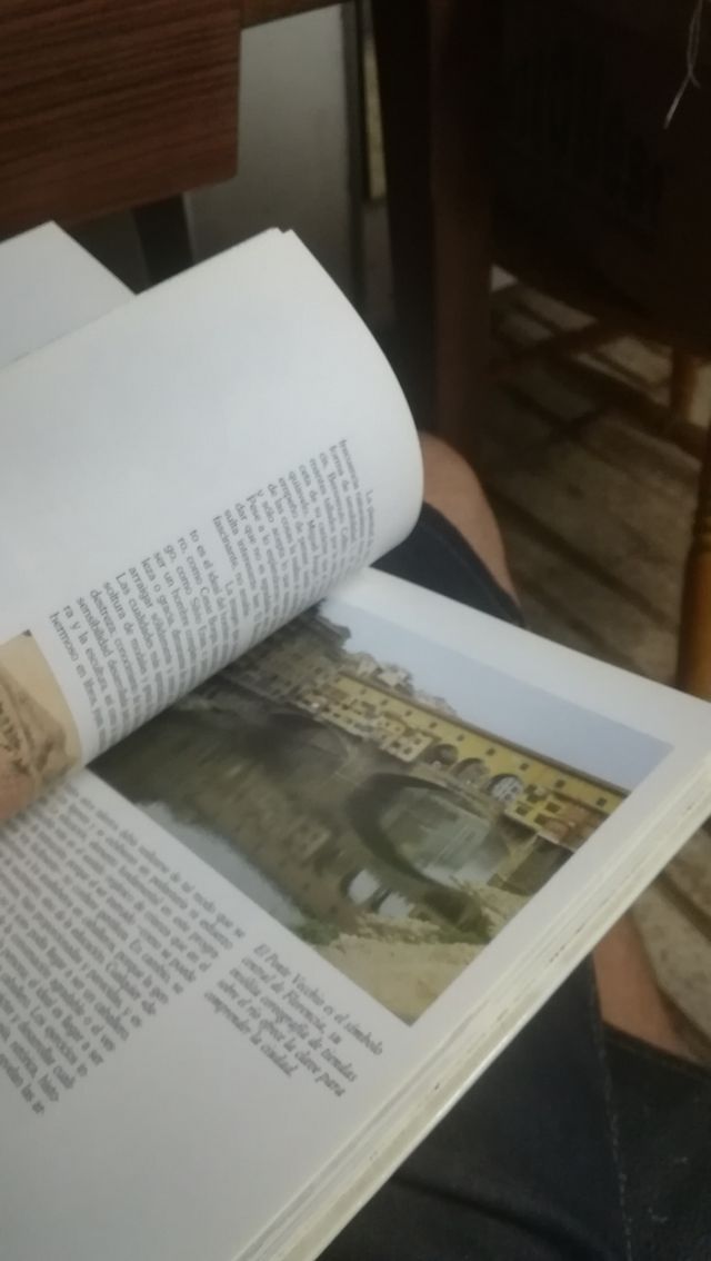 Florència de los medici  de Luis racionero