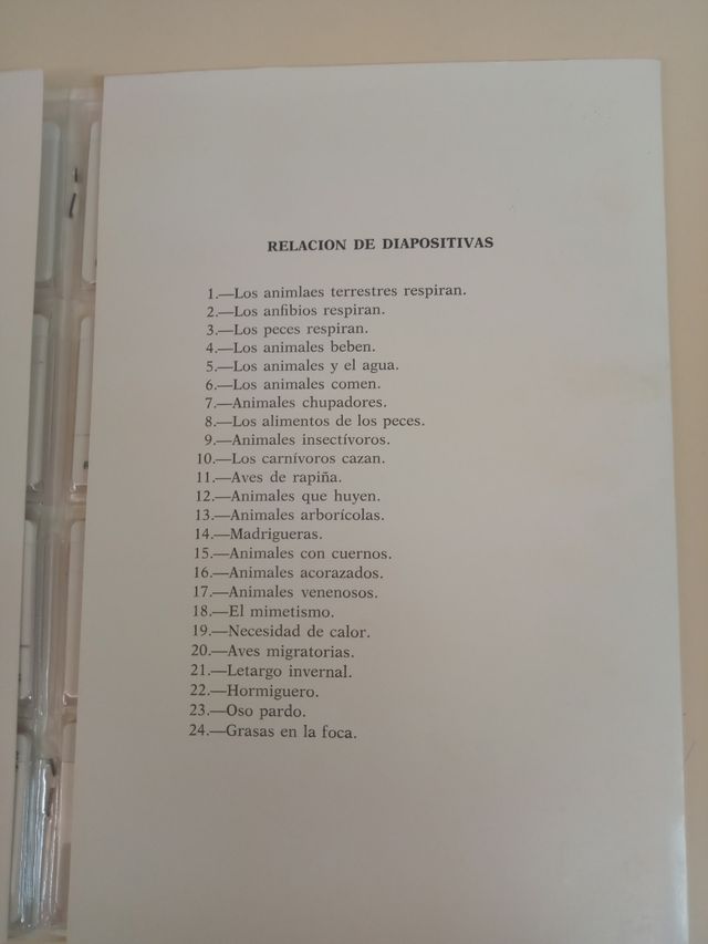 Estuche diapositivas, E. G. B.