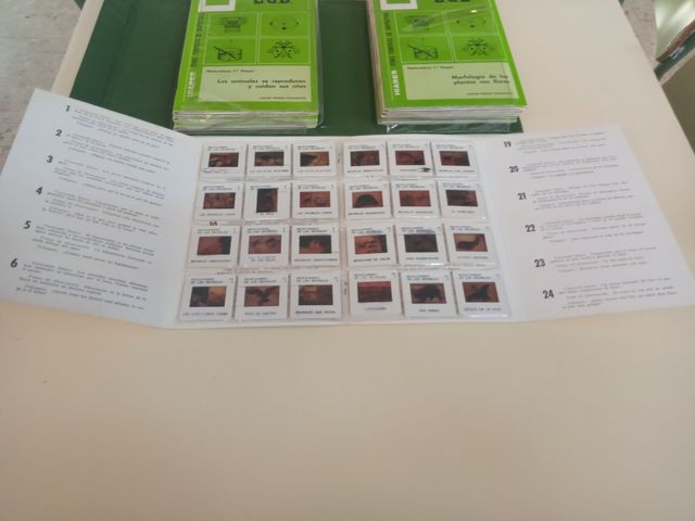 Estuche diapositivas, E. G. B.