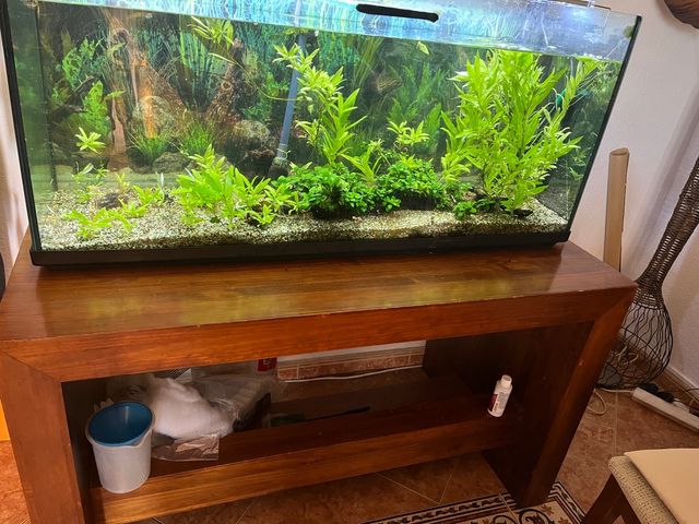 Mesa para pecera y pecera