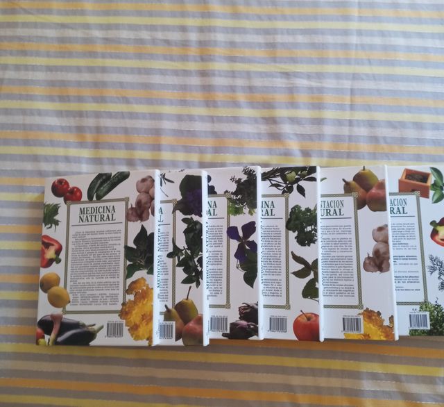 6 libro medicina natural año 2004