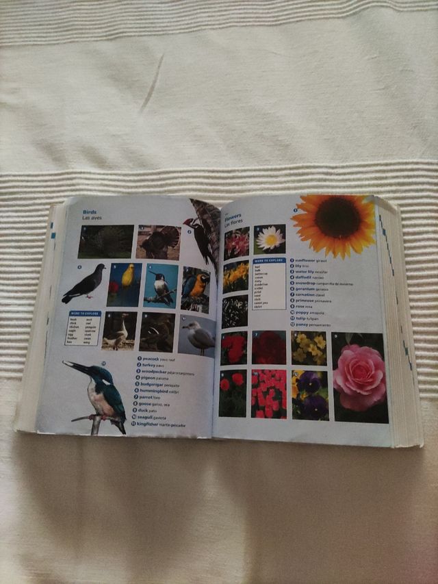 Diccionario de inglés