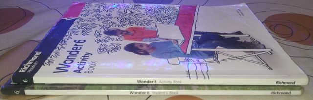Libros Inglés 6° primaria. WONDER 6. Edit.Richmond