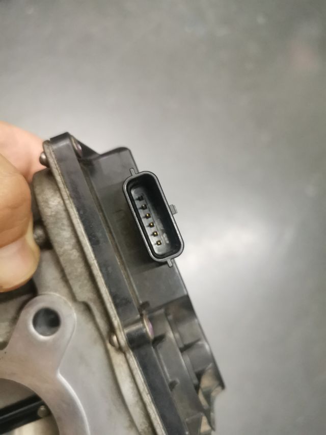 Mariposa Renault Clio