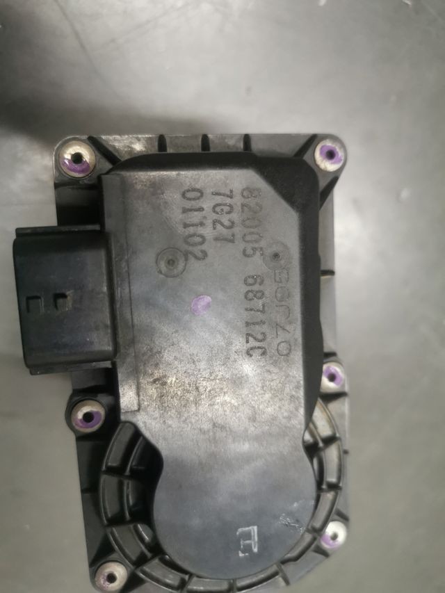 Mariposa Renault Clio