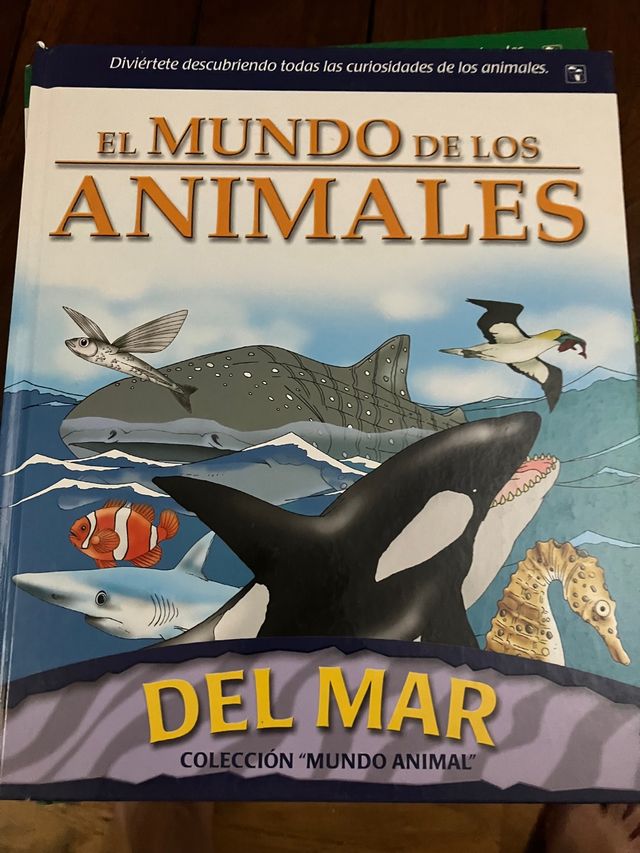 Libro infantil