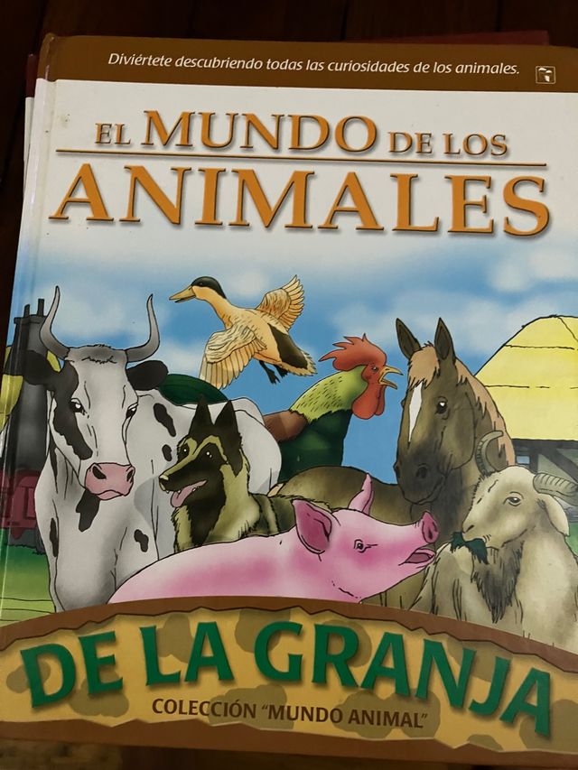 Libro infantil