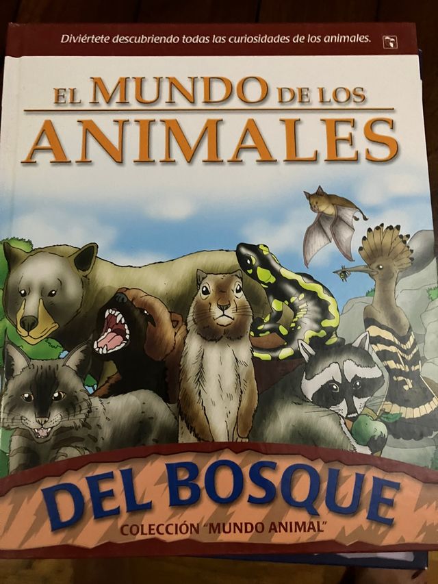 Libro infantil