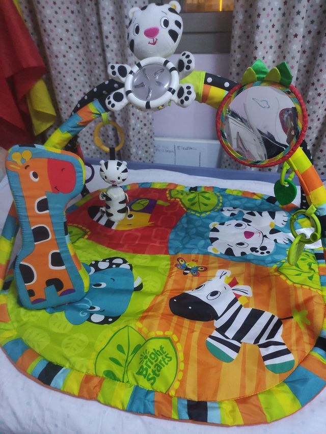 Gimnasio Actividades