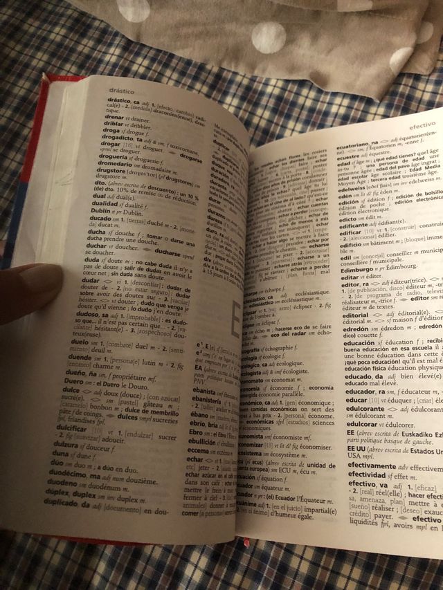 Diccionario pocket larousse francés 