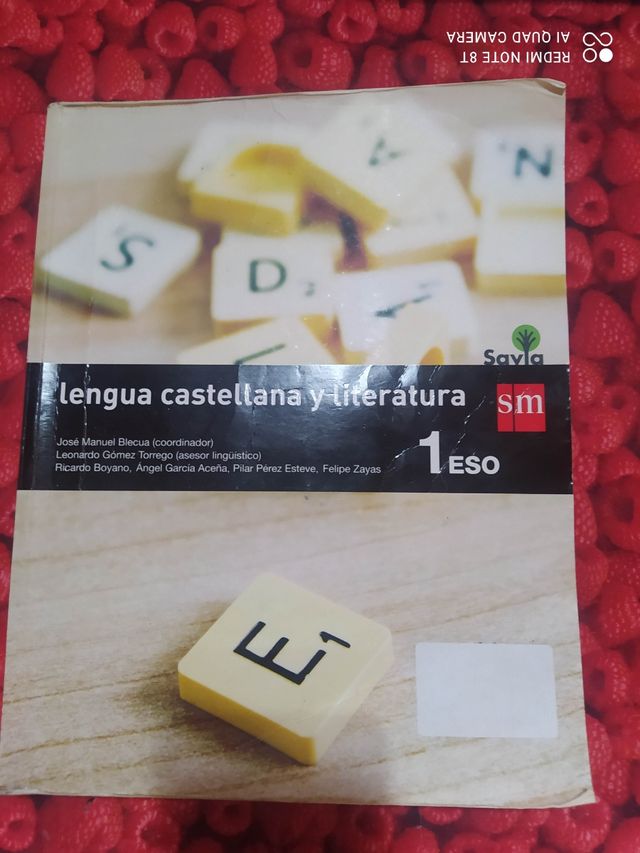 Lengua castellana y literatura