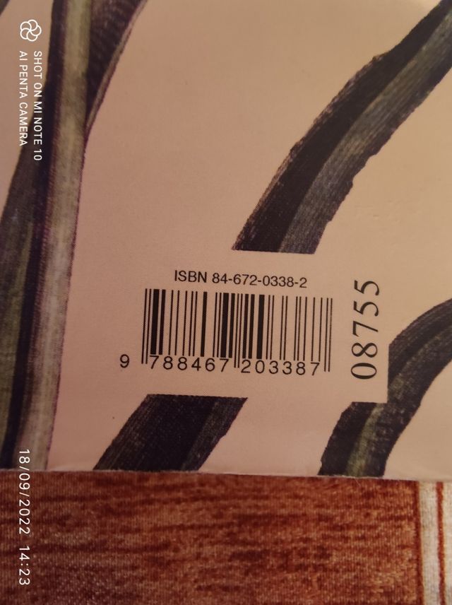 Libro Amor incomprendido.  Johanna Lindsey