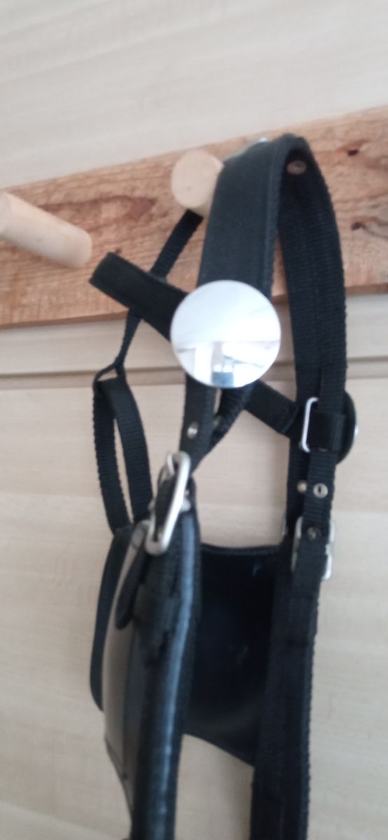 productos de equitación