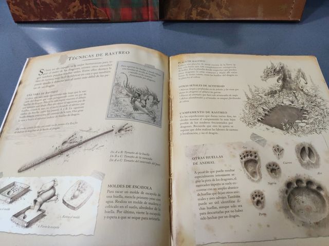 LIBRO "DRAGONES"