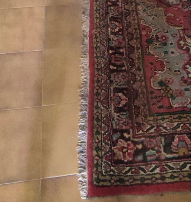 Alfombra Artesanal de la India 