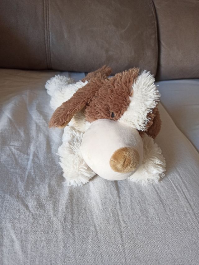 perrito saco de semillas