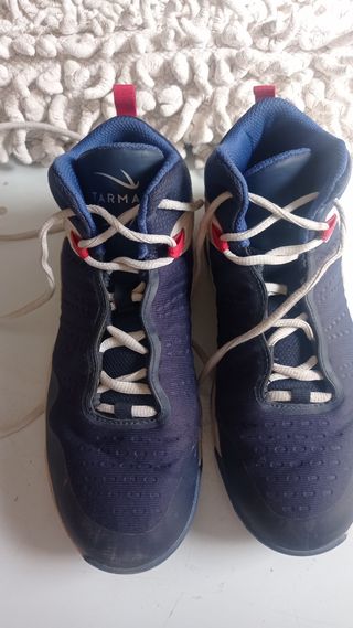 zapatilla de baloncesto
