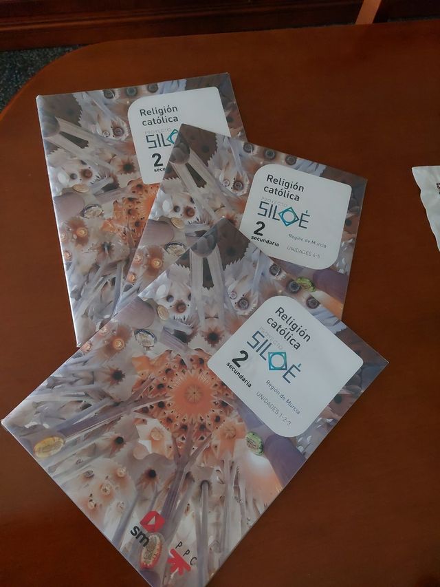 Religión  católica