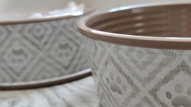 juguetes de perro ECO y comedero bebedero