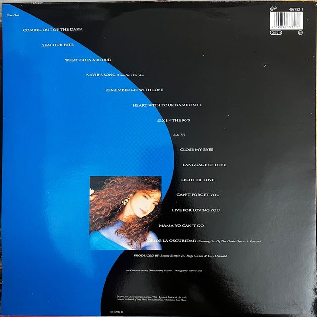 Gloria Estefan - Into The Light - vinilo