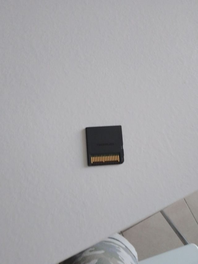 gioco Nintendo DS il mio coach 