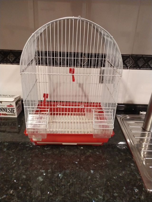 jaula para pajaros
