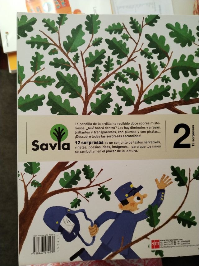 12 sorpresas 2°Primaria