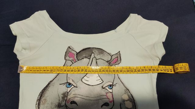 Camiseta de Zara (Trafaluc)