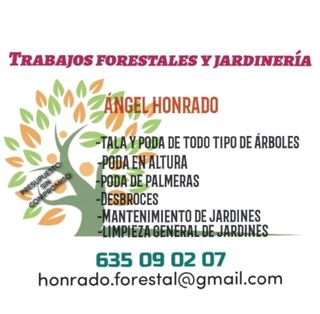 mantenimiento de jardines parcelas y fincas