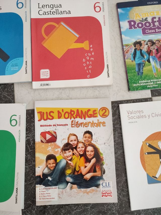 libros de texto de sexto de primaria