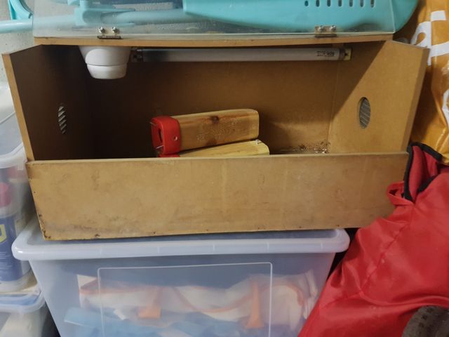 tortuguera o terrario