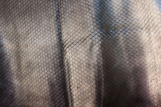 Villain- Blusa lunga in pelle argento  FRS26