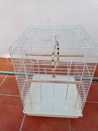 Jaula 