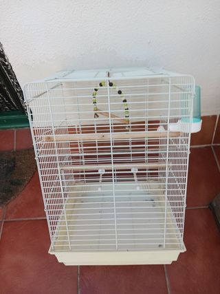 Jaula 