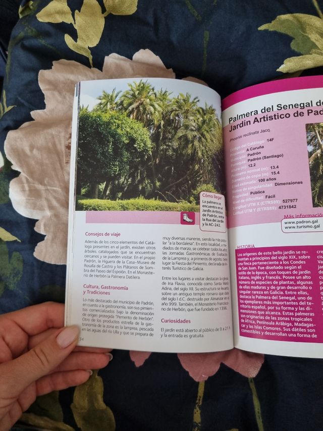 Guia de viaje "Árboles de Galicia"