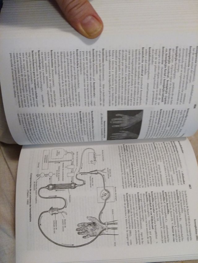Diccionario MOSBY pocket