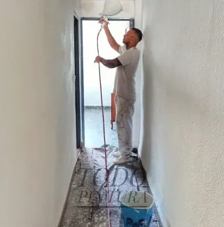 pintor profesional
