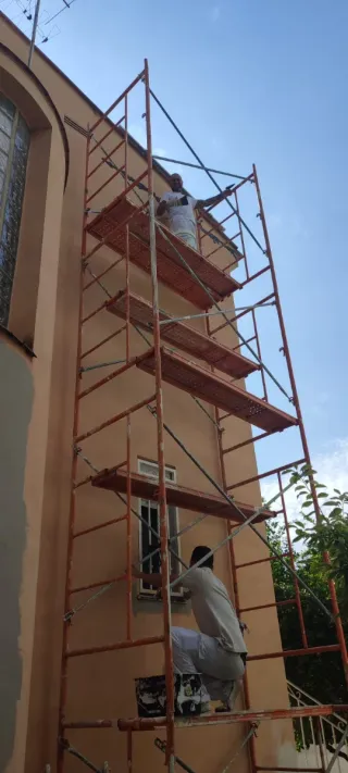 pintor profesional