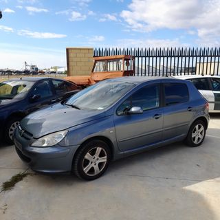 Despiece Peugeot 307 hdi