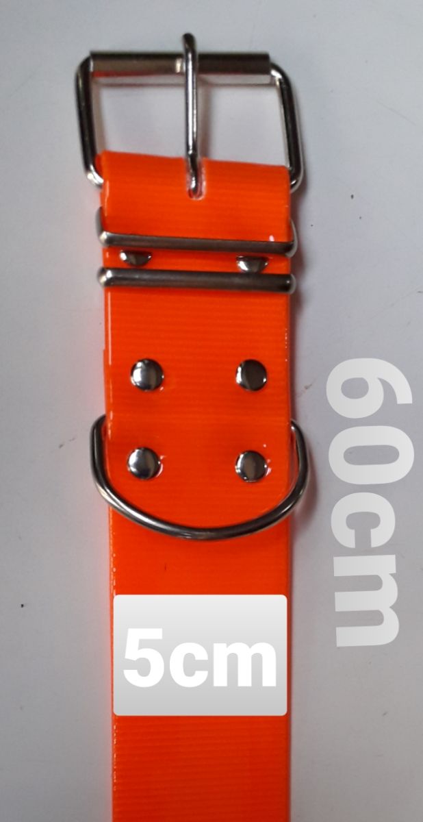 Collares Biothane anchos 5 cm
