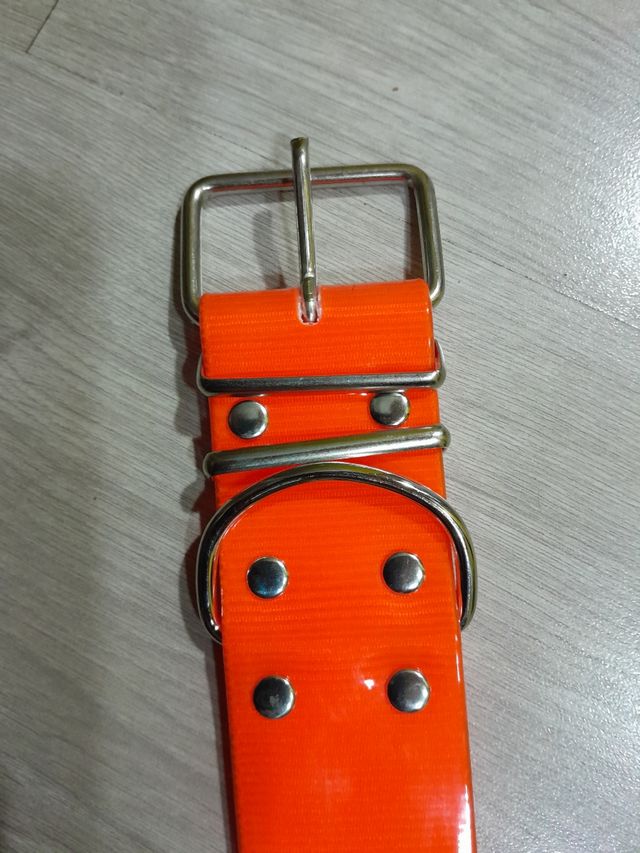 Collares Biothane anchos 5 cm