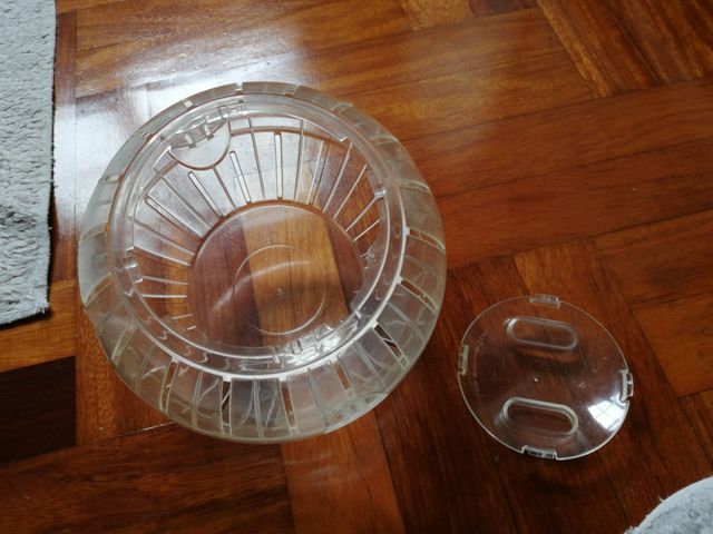 Bola hamster ruso 17,8 cm