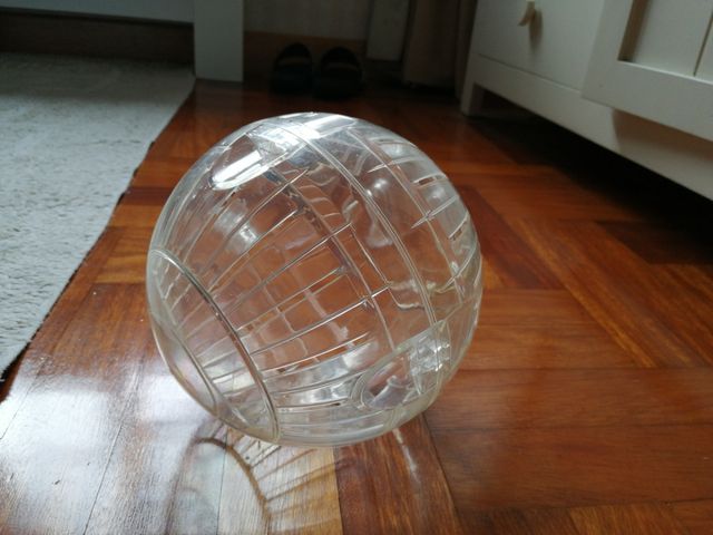 Bola hamster ruso 17,8 cm