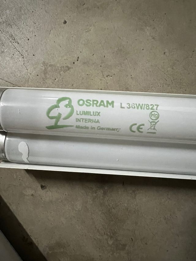 FLUORESCENTE DE TECHO