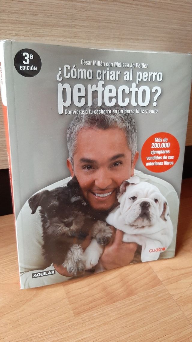 📖 COMO CRIAR al PERRO PERFECTO 👌