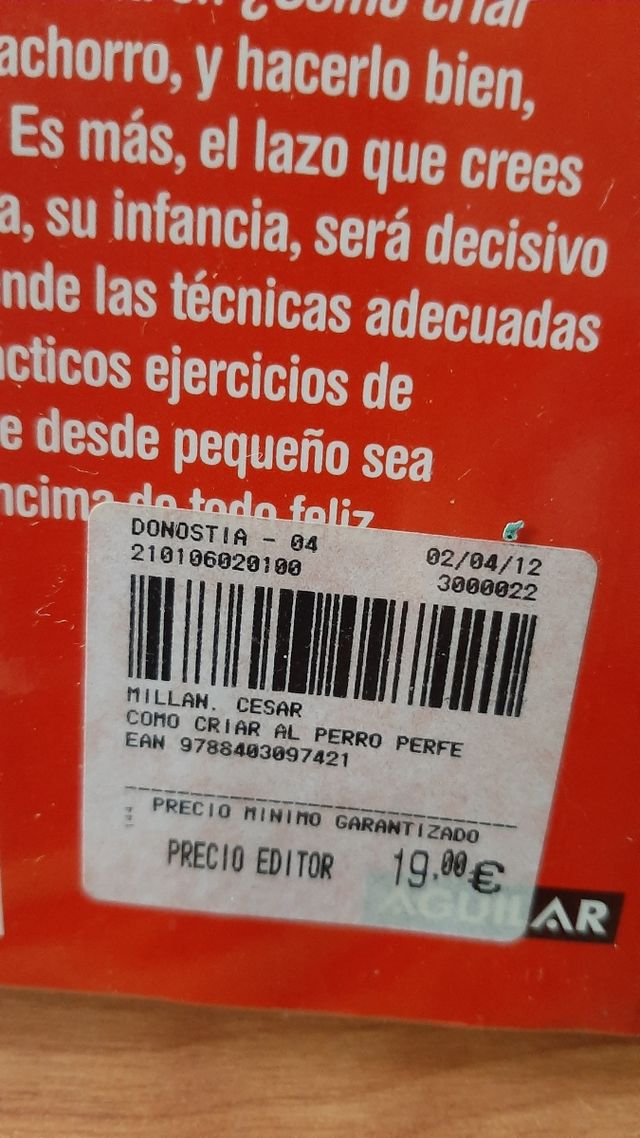 📖 COMO CRIAR al PERRO PERFECTO 👌