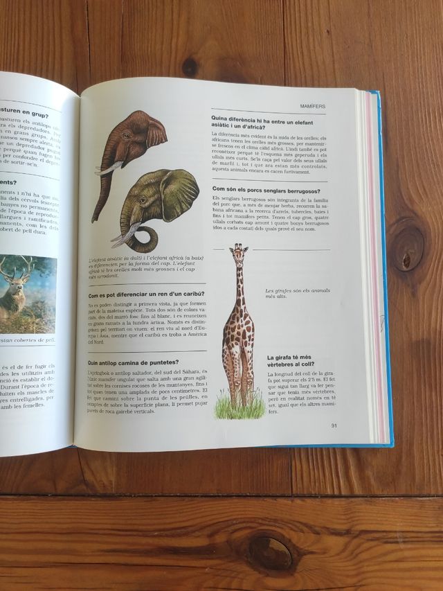 EL LLIBRE DELS 1001 ANIMALS