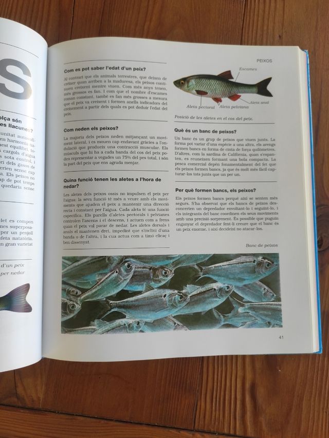 EL LLIBRE DELS 1001 ANIMALS