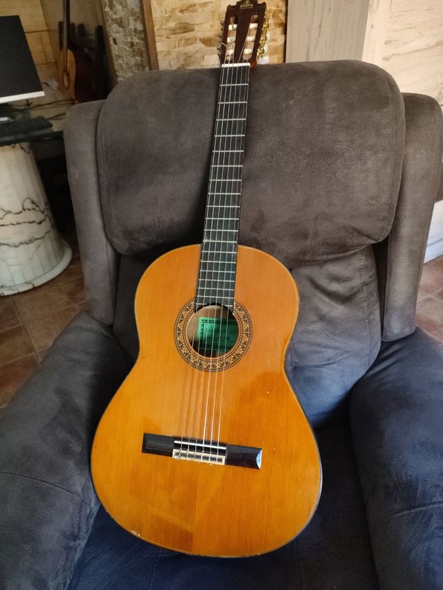 Guitarra Takeharu Gt-300