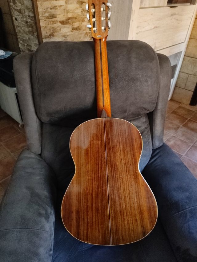 Guitarra Takeharu Gt-300